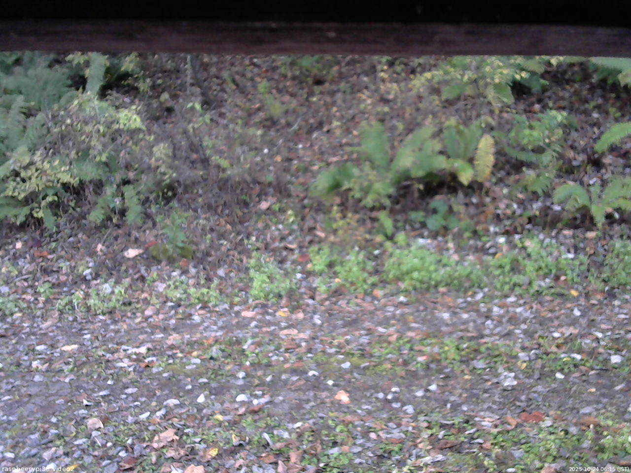 長野県菅平高原 ゆたか山荘 南側 2025/10/24 06:15