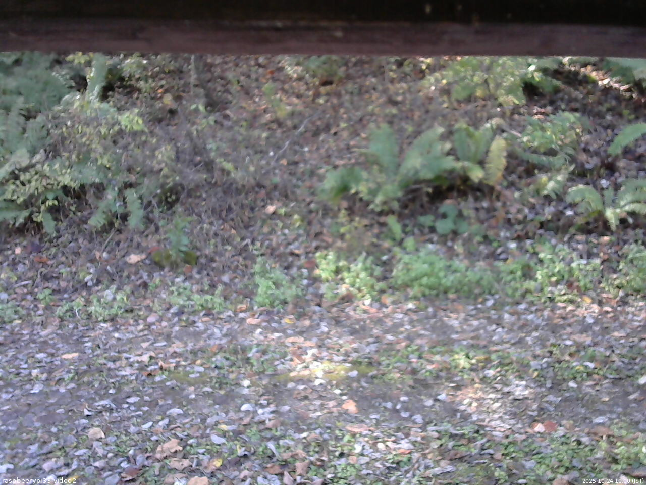 長野県菅平高原 ゆたか山荘 南側 2025/10/24 10:00