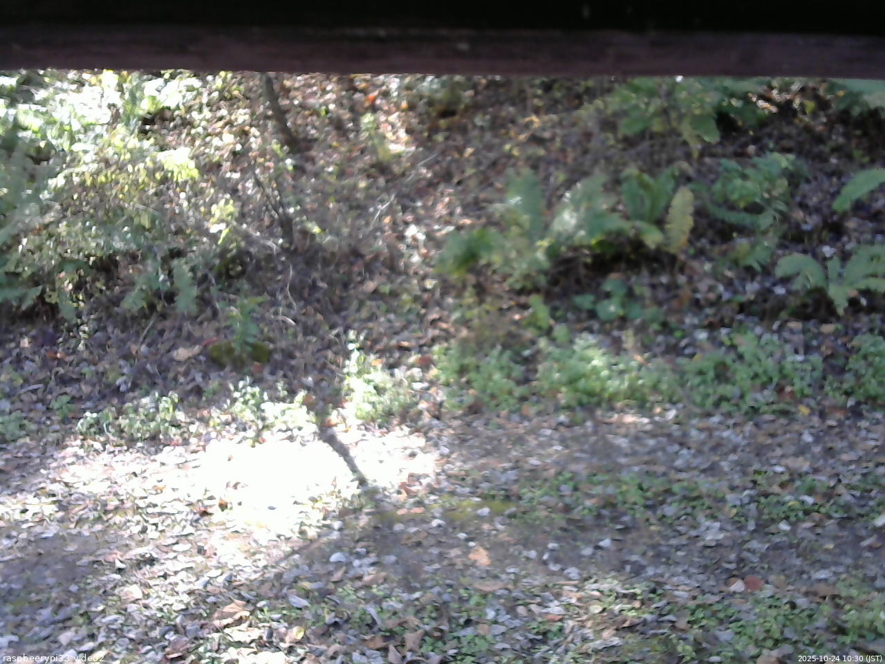 長野県菅平高原 ゆたか山荘 南側 2025/10/24 10:30