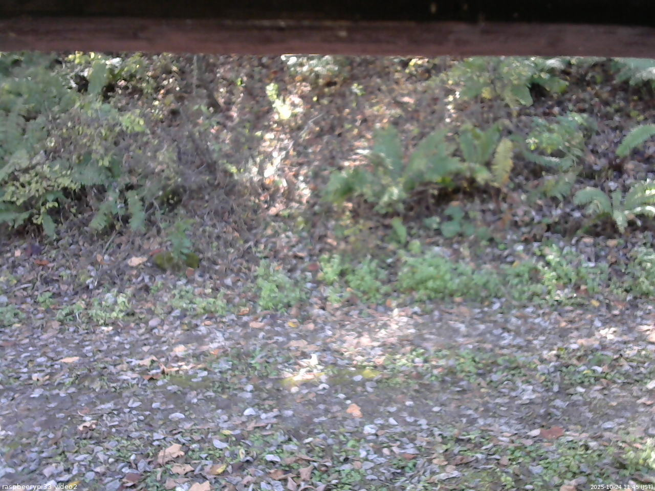 長野県菅平高原 ゆたか山荘 南側 2025/10/24 11:45