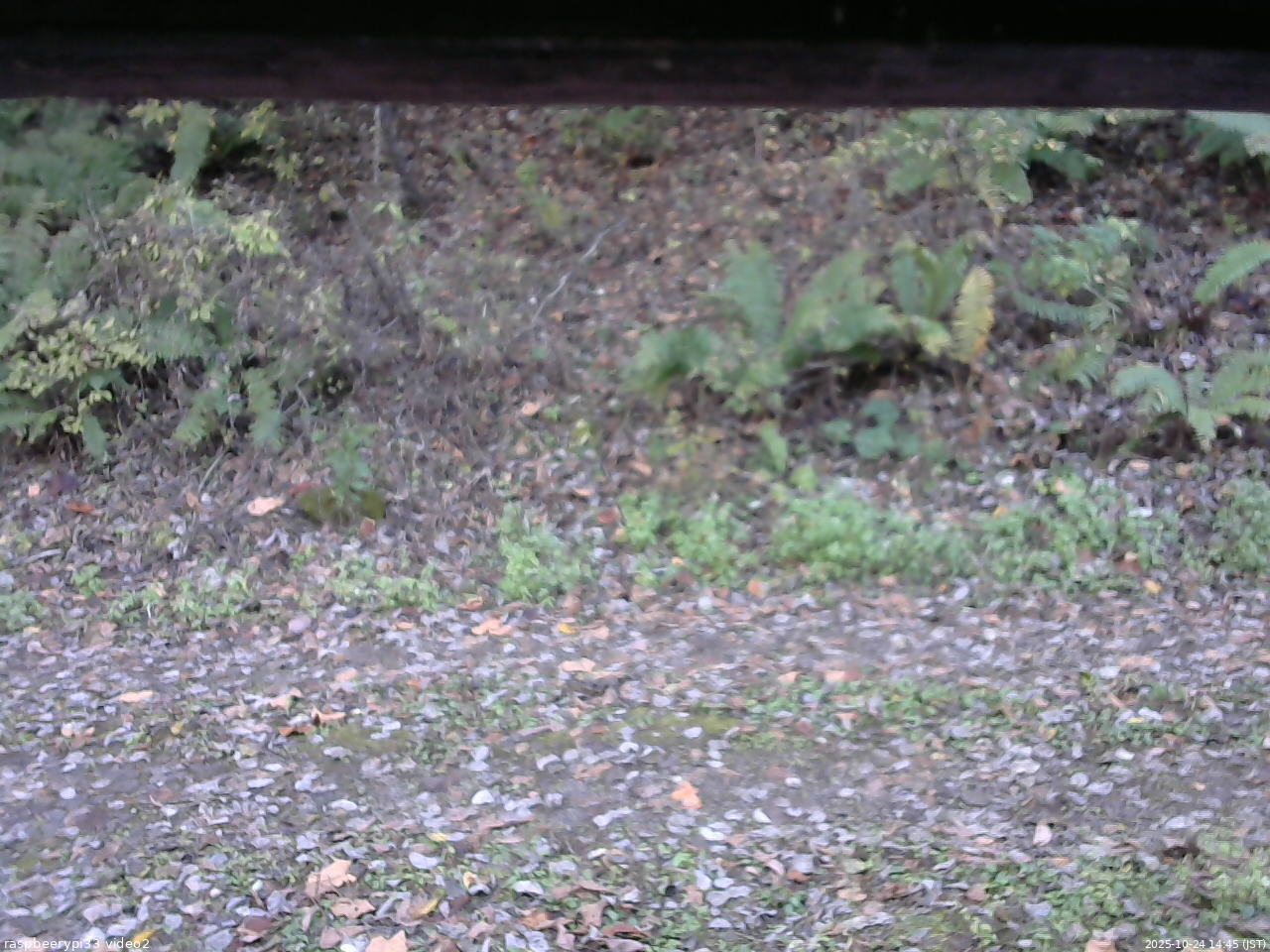 長野県菅平高原 ゆたか山荘 南側 2025/10/24 14:45