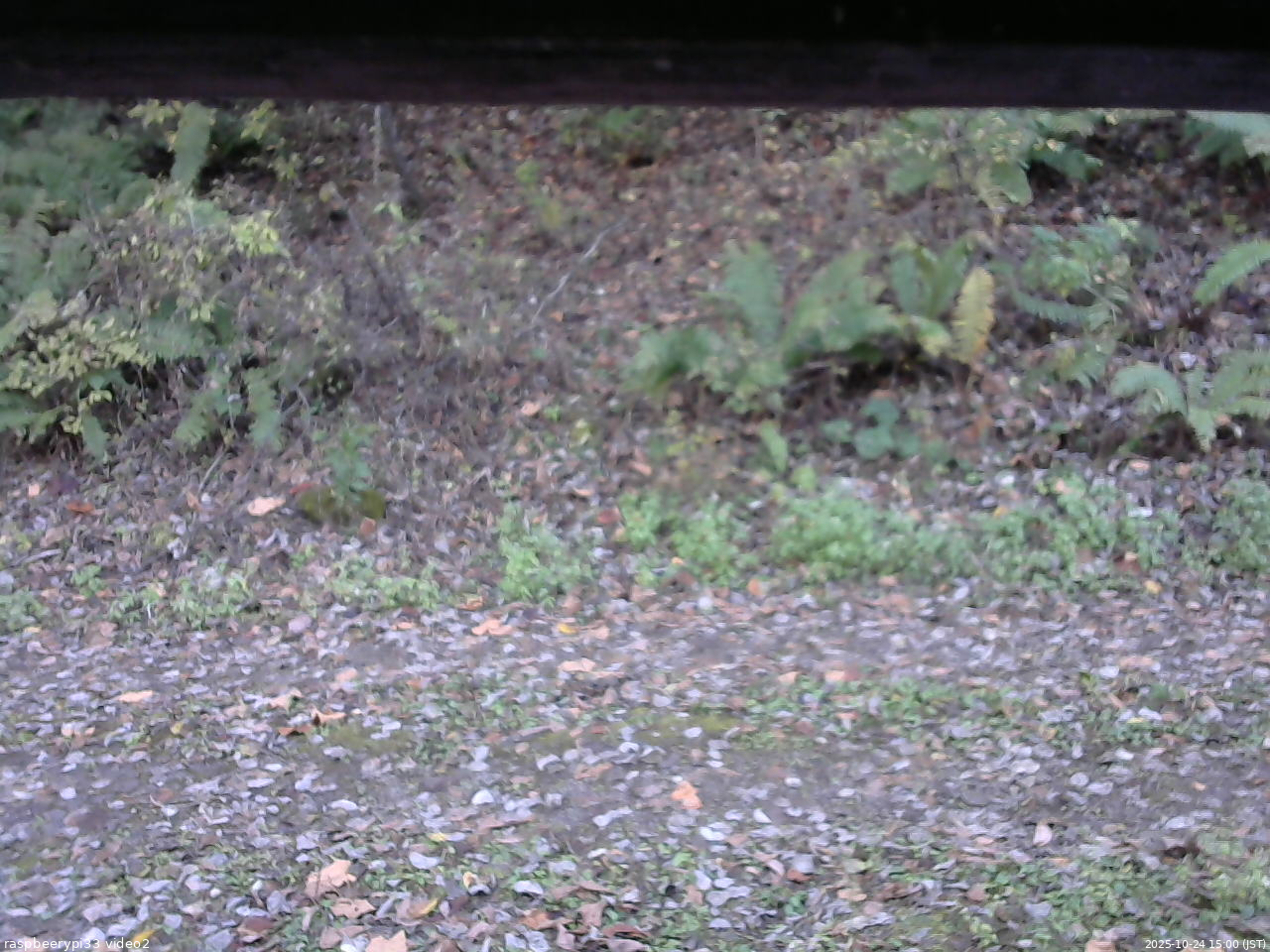 長野県菅平高原 ゆたか山荘 南側 2025/10/24 15:00