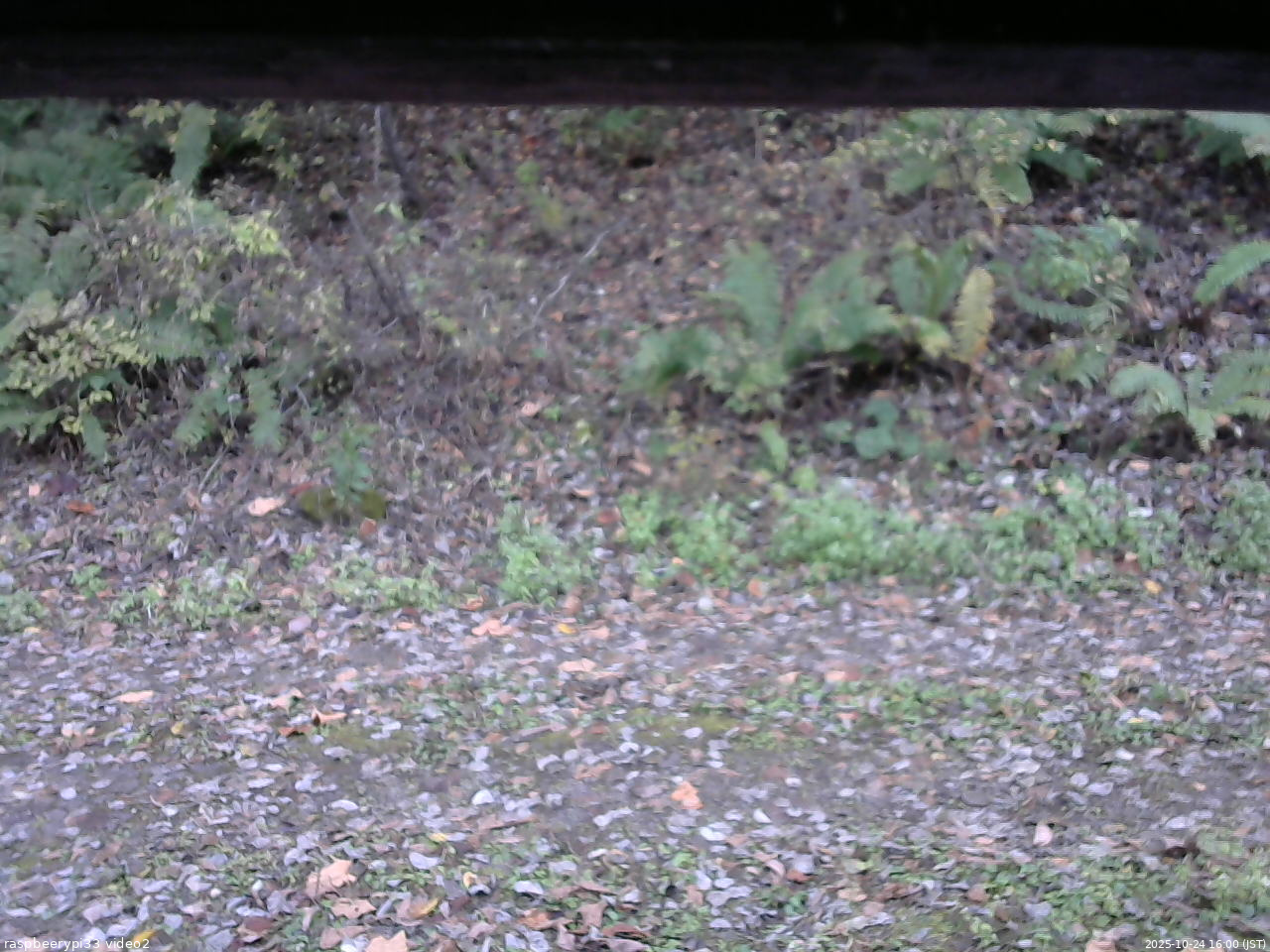 長野県菅平高原 ゆたか山荘 南側 2025/10/24 16:00