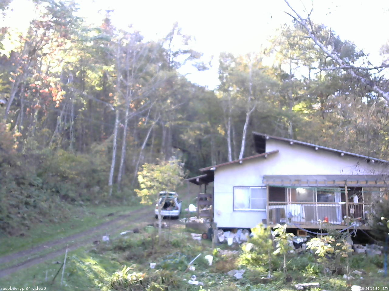 長野県菅平高原 ゆたか山荘 西側(坂上) 2025/10/24 14:30