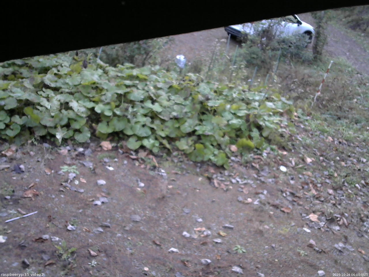長野県菅平高原 ゆたか山荘 駐車場 2025/10/24 06:00