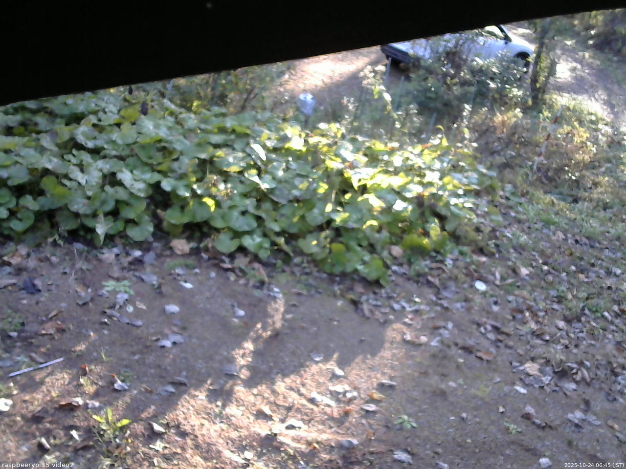 長野県菅平高原 ゆたか山荘 駐車場 2025/10/24 06:45