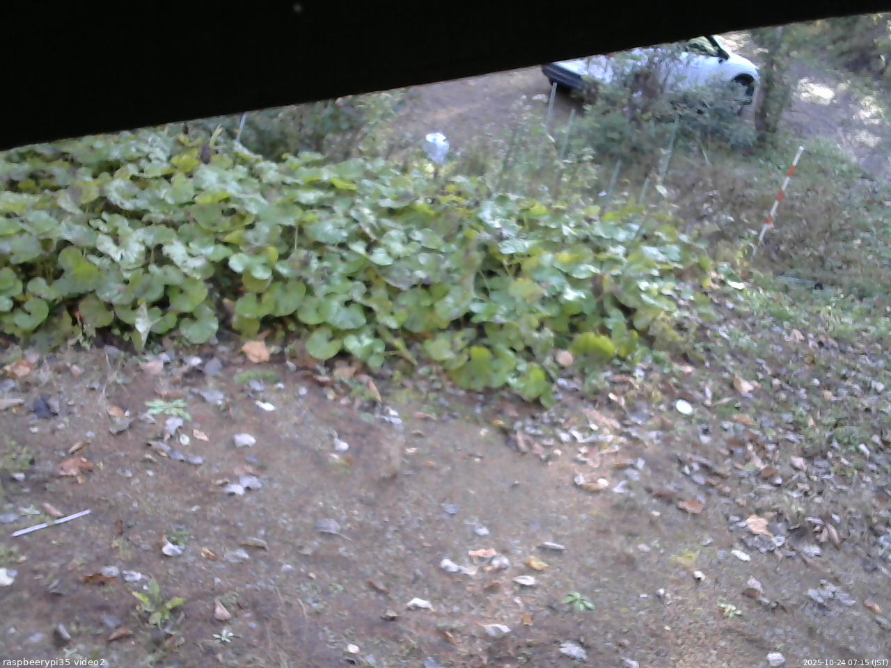 長野県菅平高原 ゆたか山荘 駐車場 2025/10/24 07:15