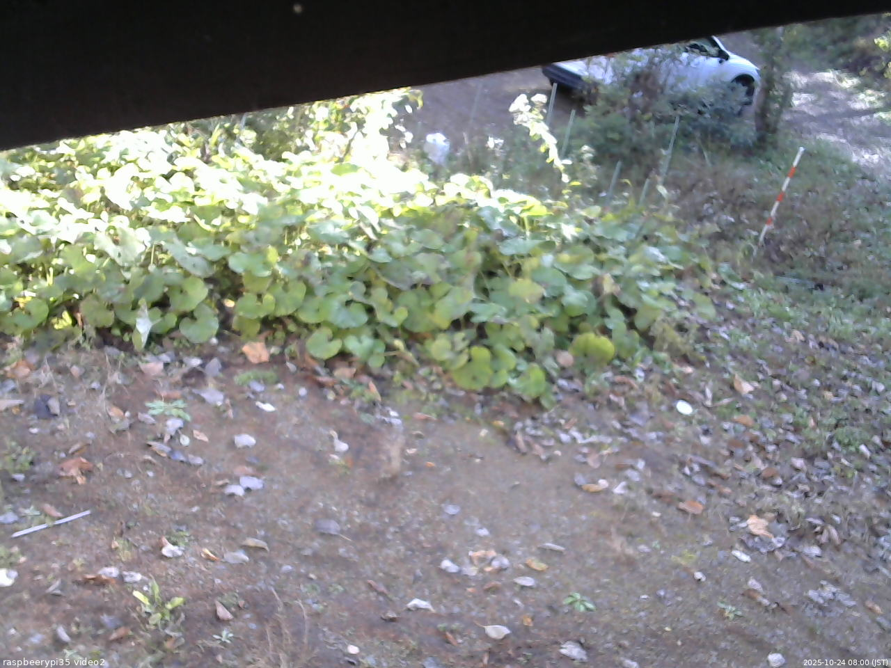 長野県菅平高原 ゆたか山荘 駐車場 2025/10/24 08:00