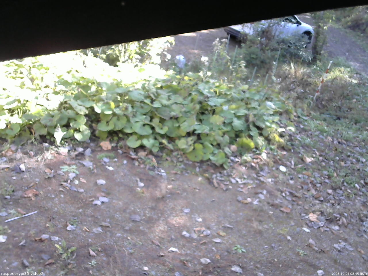 長野県菅平高原 ゆたか山荘 駐車場 2025/10/24 08:45