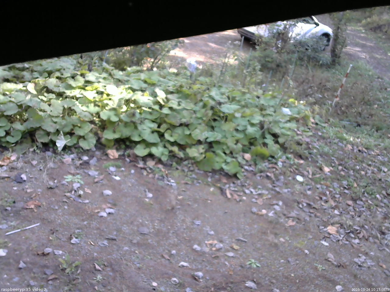 長野県菅平高原 ゆたか山荘 駐車場 2025/10/24 10:15