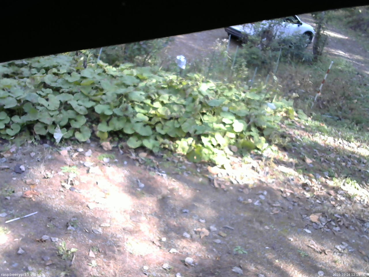 長野県菅平高原 ゆたか山荘 駐車場 2025/10/24 12:15