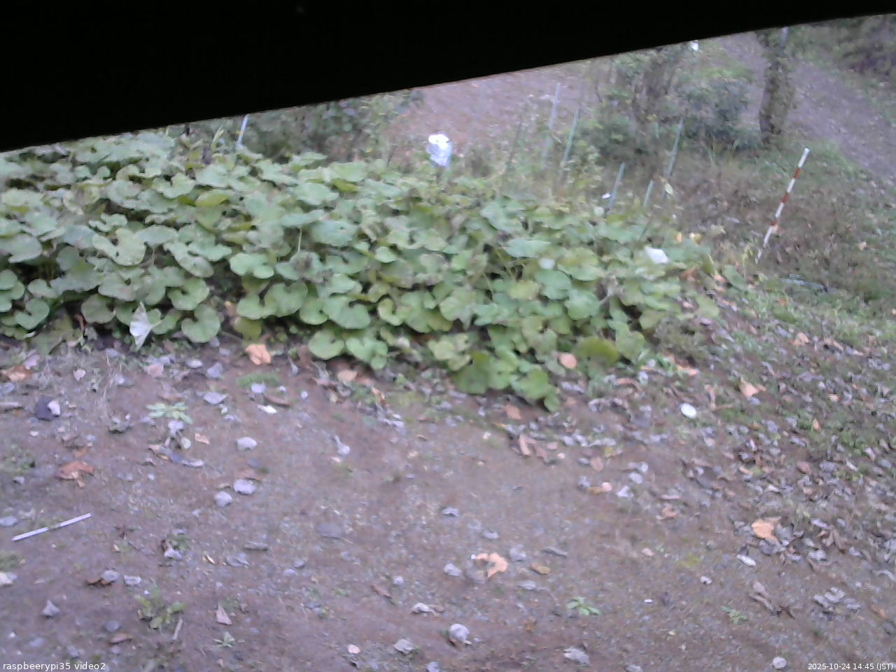 長野県菅平高原 ゆたか山荘 駐車場 2025/10/24 14:45