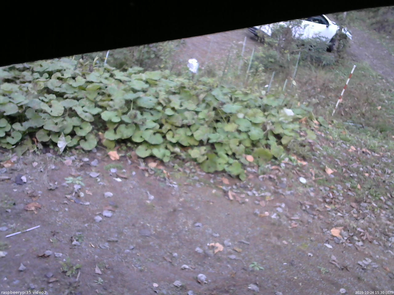 長野県菅平高原 ゆたか山荘 駐車場 2025/10/24 15:30
