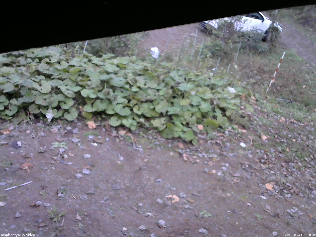 長野県菅平高原 ゆたか山荘 駐車場 2025/10/24 16:00