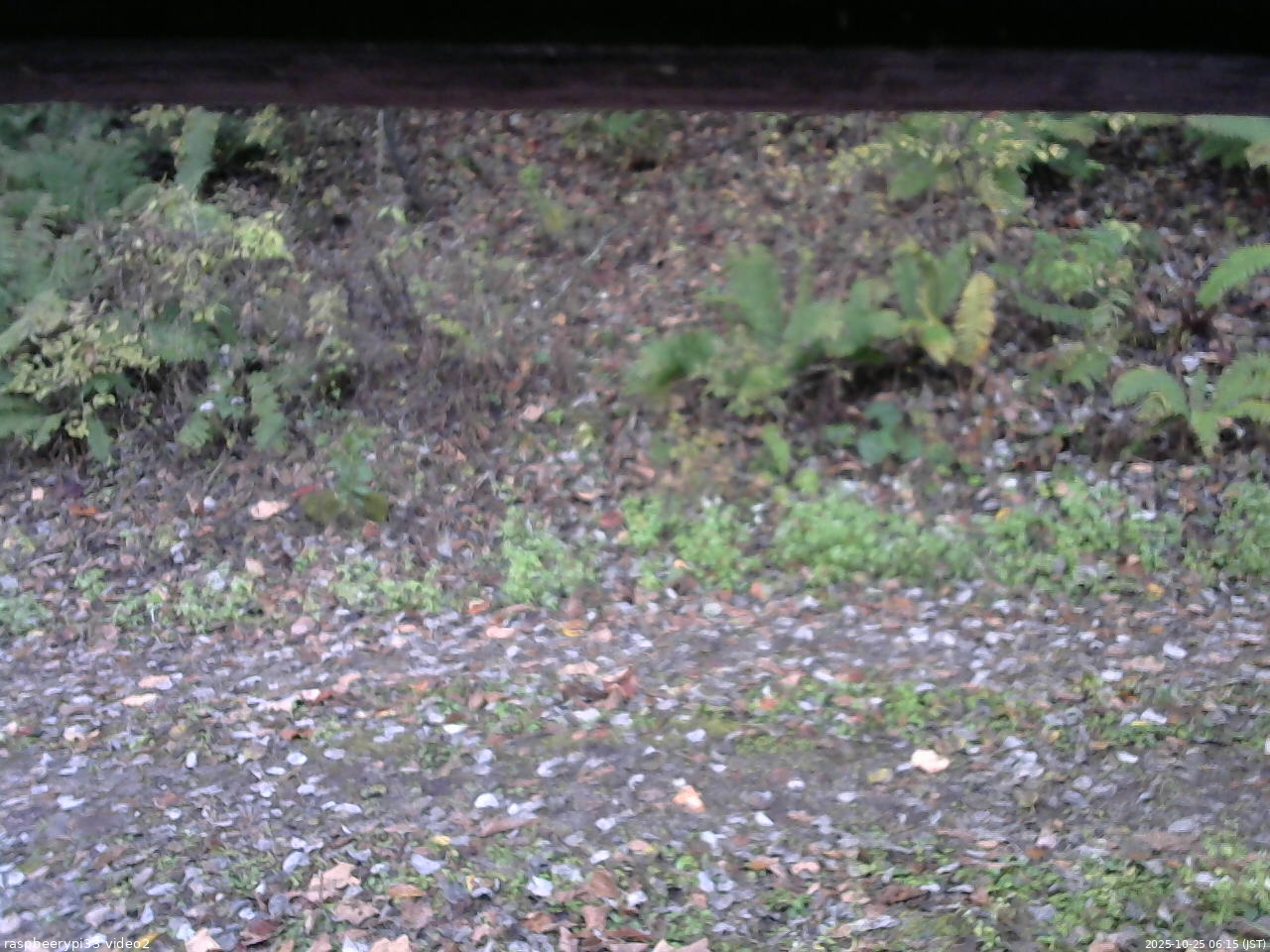 長野県菅平高原 ゆたか山荘 南側 2025/10/25 06:15
