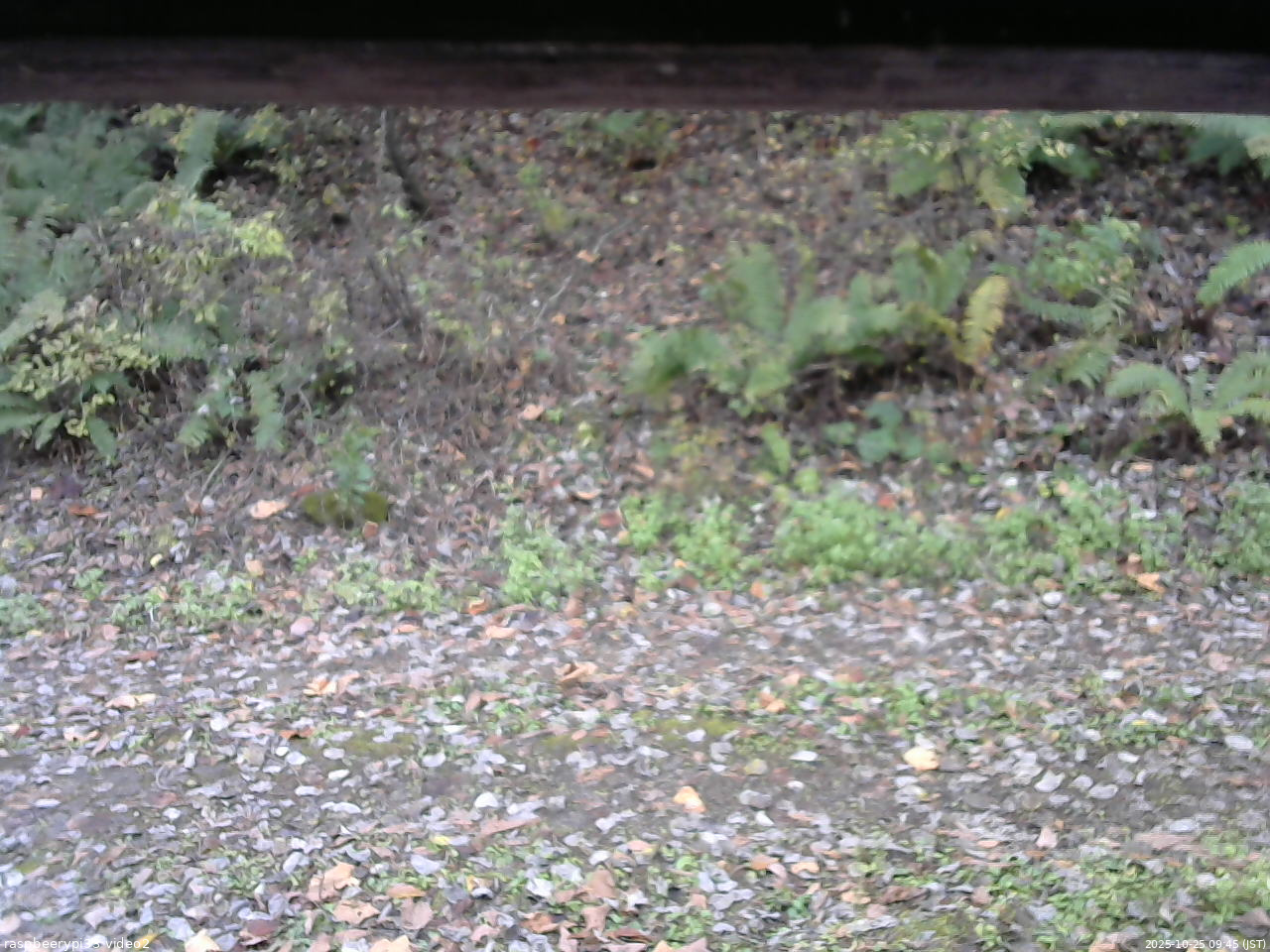 長野県菅平高原 ゆたか山荘 南側 2025/10/25 09:45