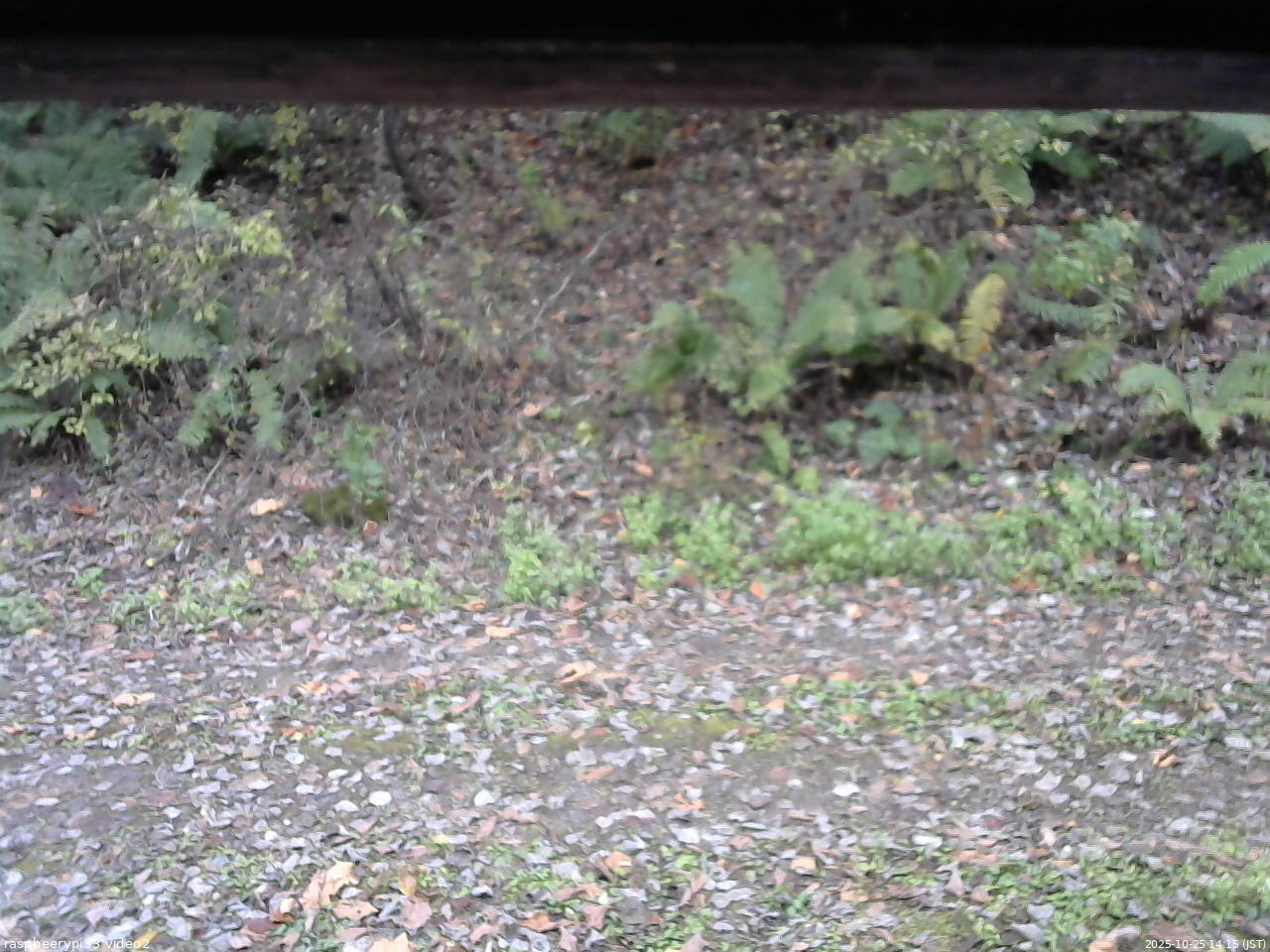 長野県菅平高原 ゆたか山荘 南側 2025/10/25 14:15