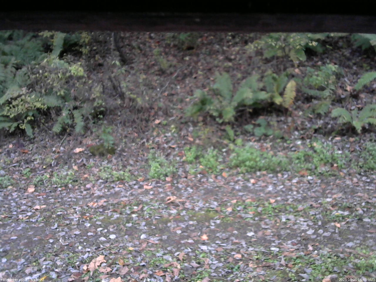 長野県菅平高原 ゆたか山荘 南側 2025/10/25 16:45