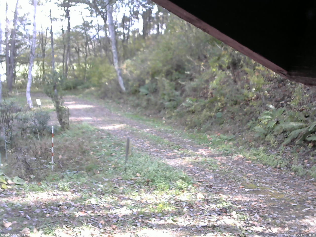長野県菅平高原 ゆたか山荘 東側(坂下) 2025/10/25 12:15