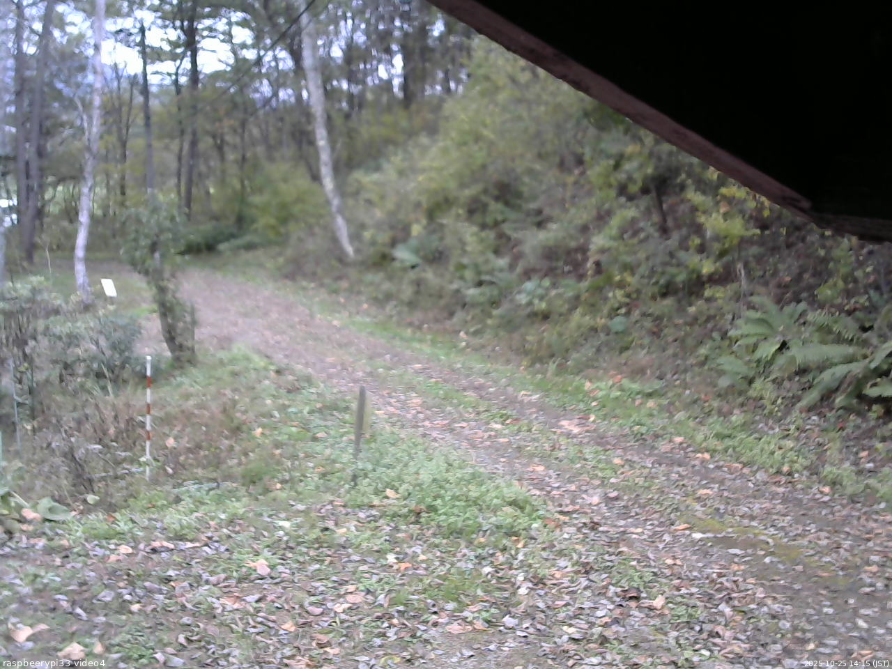 長野県菅平高原 ゆたか山荘 東側(坂下) 2025/10/25 14:15