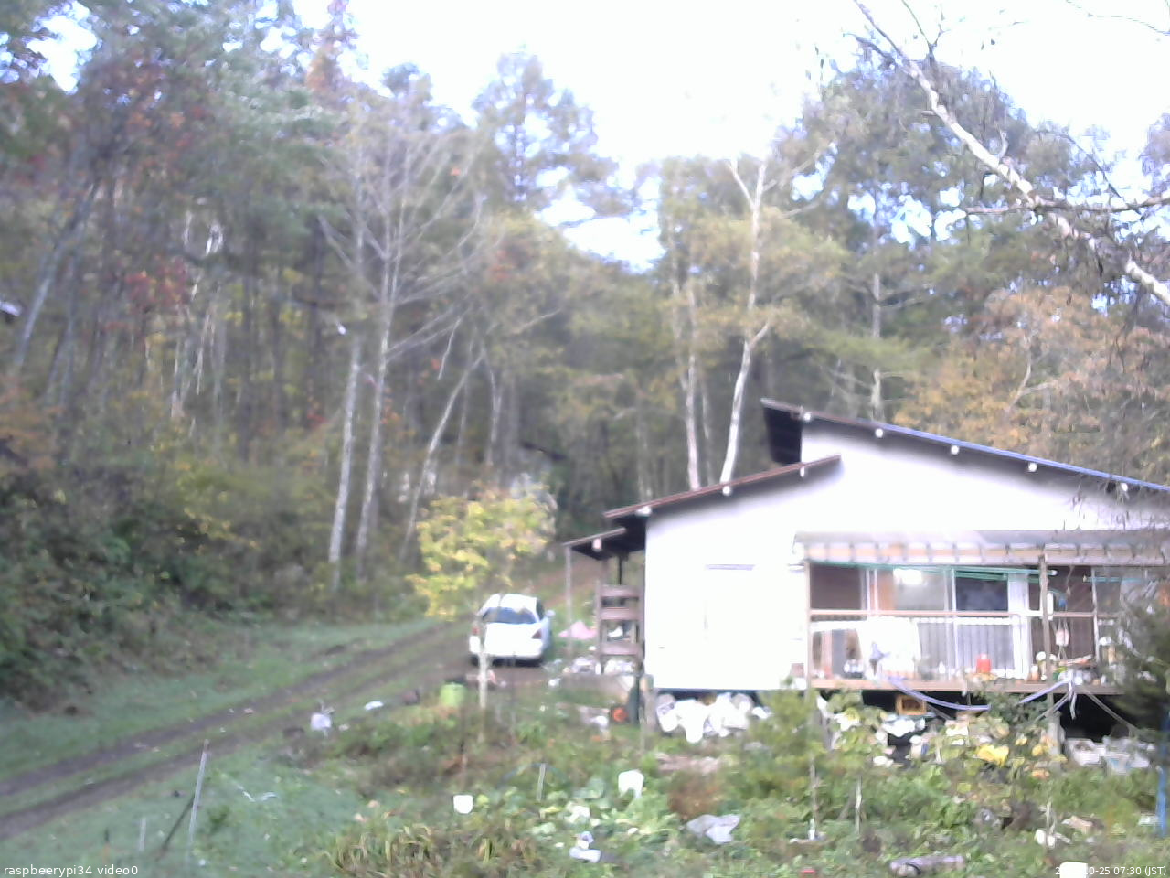長野県菅平高原 ゆたか山荘 西側(坂上) 2025/10/25 07:30