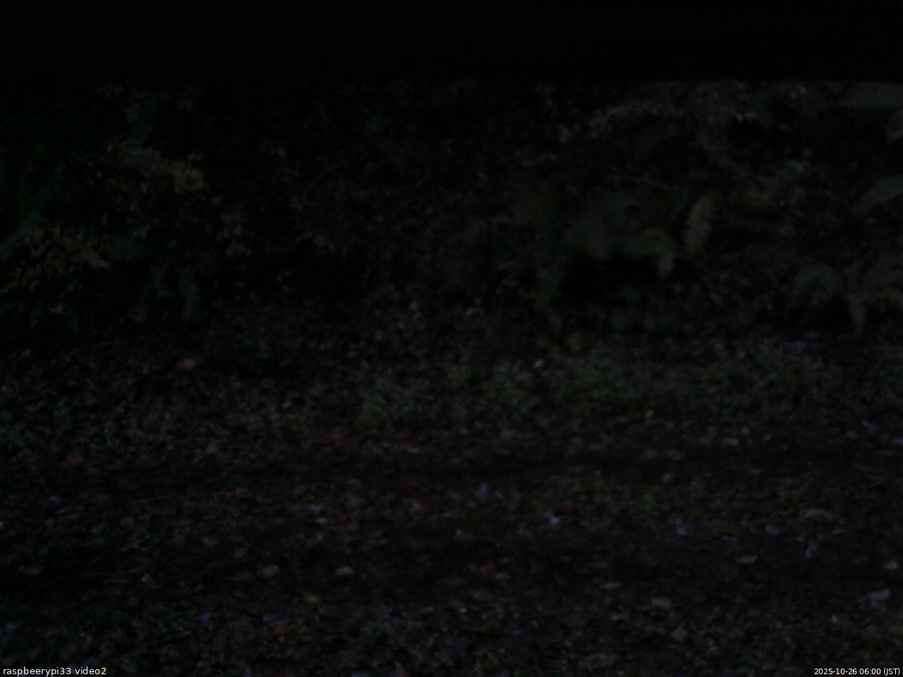 長野県菅平高原 ゆたか山荘 南側 2025/10/26 06:00