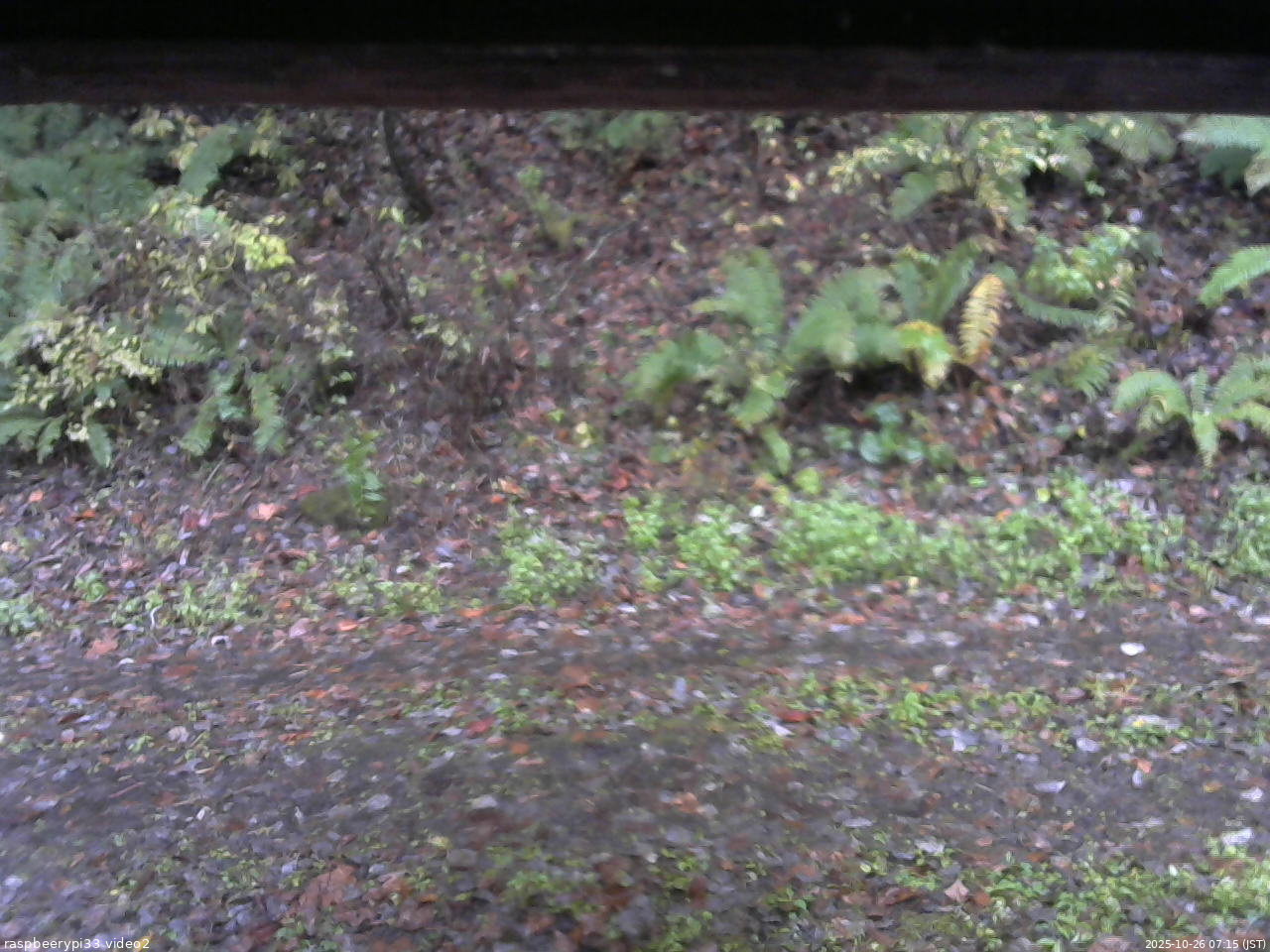 長野県菅平高原 ゆたか山荘 南側 2025/10/26 07:15