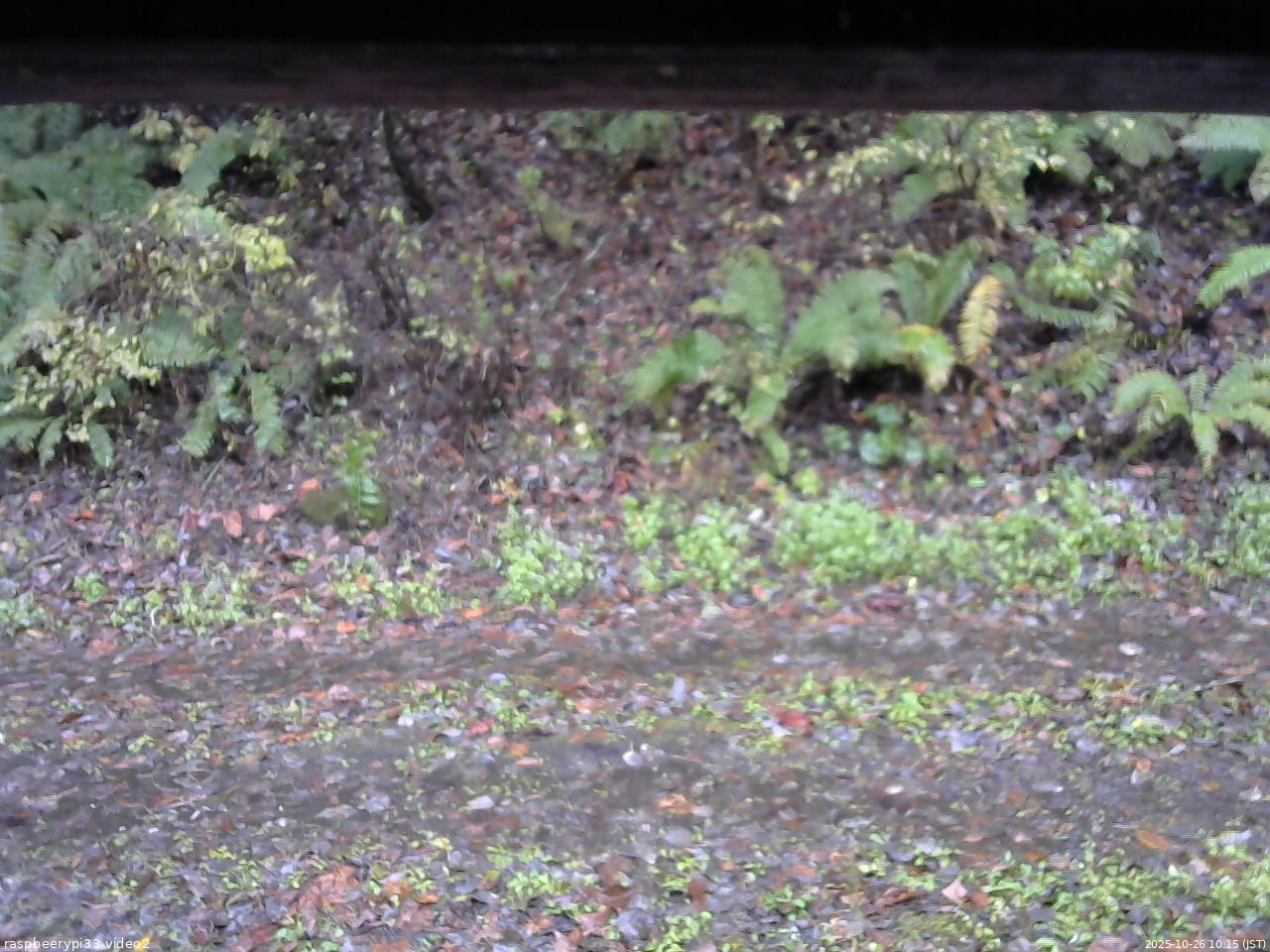 長野県菅平高原 ゆたか山荘 南側 2025/10/26 10:15