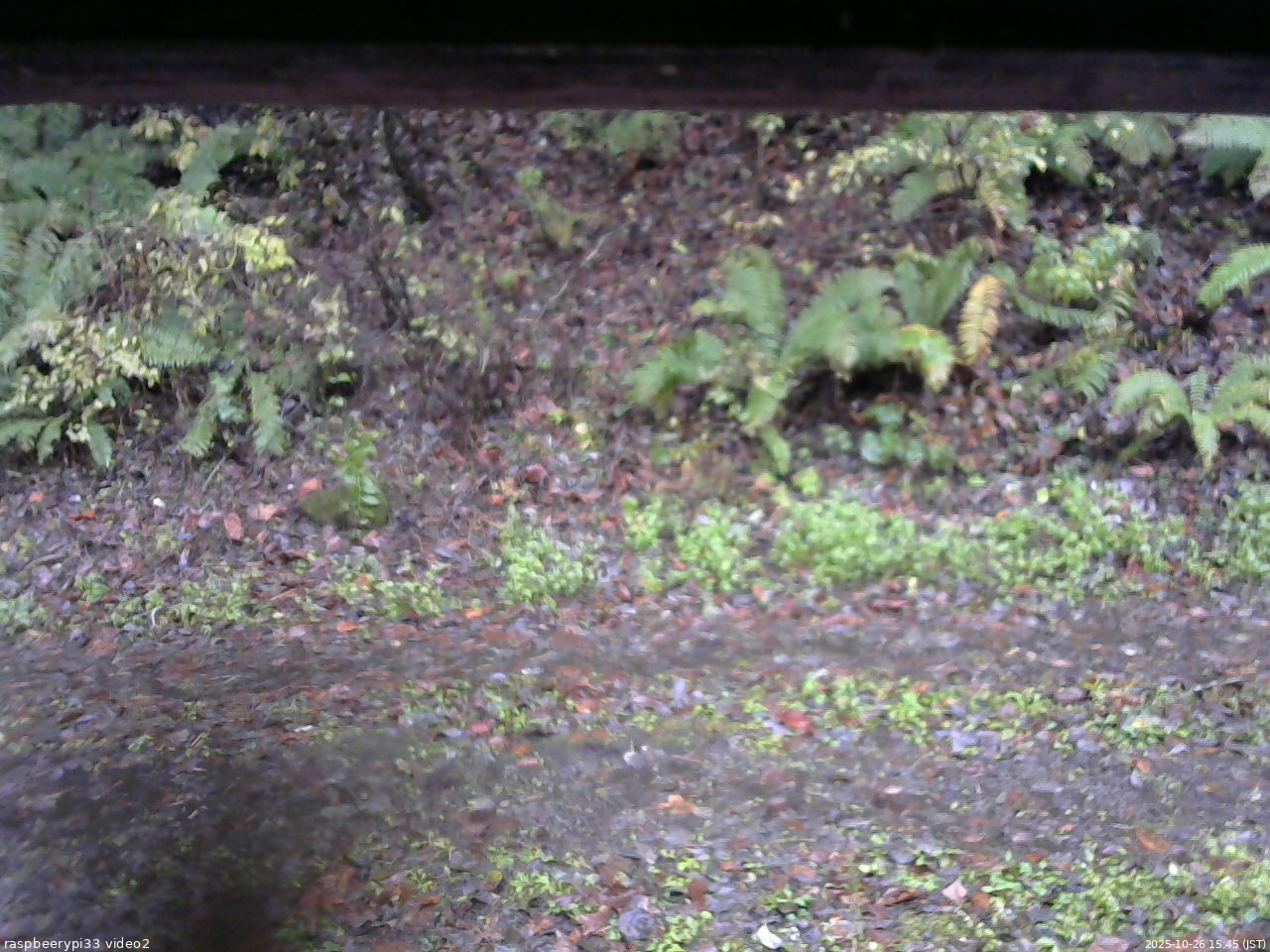長野県菅平高原 ゆたか山荘 南側 2025/10/26 15:45