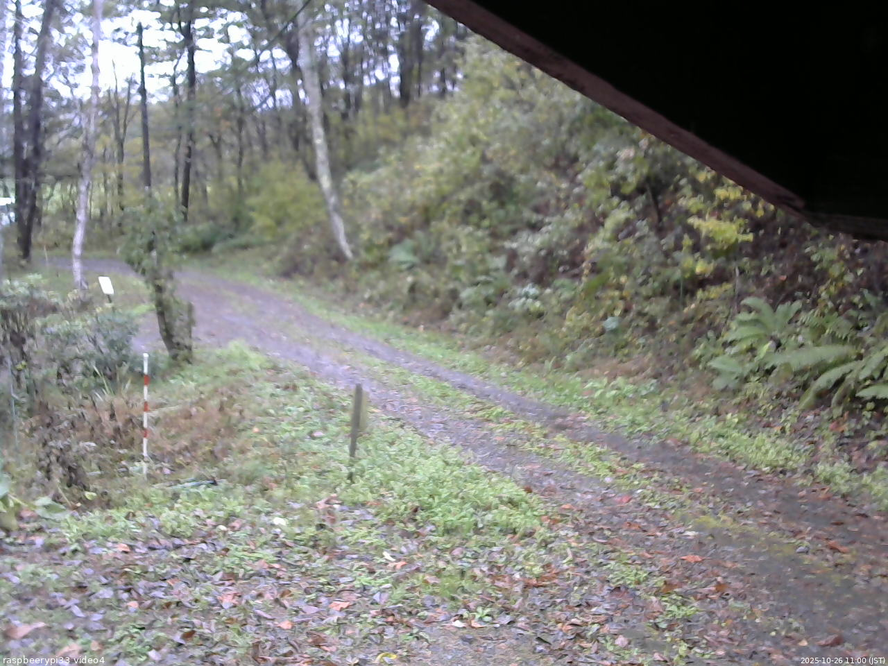 長野県菅平高原 ゆたか山荘 東側(坂下) 2025/10/26 11:00
