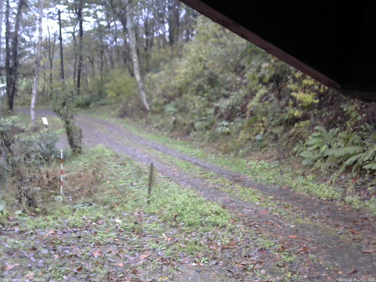 長野県菅平高原 ゆたか山荘 東側(坂下) 2025/10/26 14:15