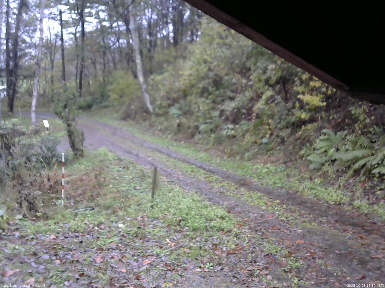 長野県菅平高原 ゆたか山荘 東側(坂下) 2025/10/26 15:30