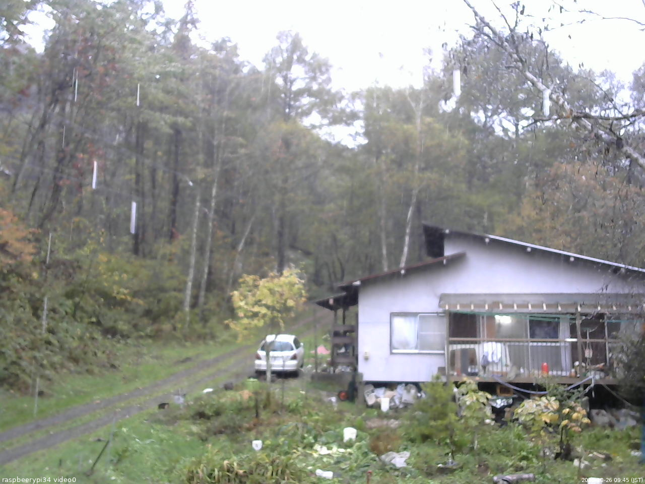 長野県菅平高原 ゆたか山荘 西側(坂上) 2025/10/26 09:45
