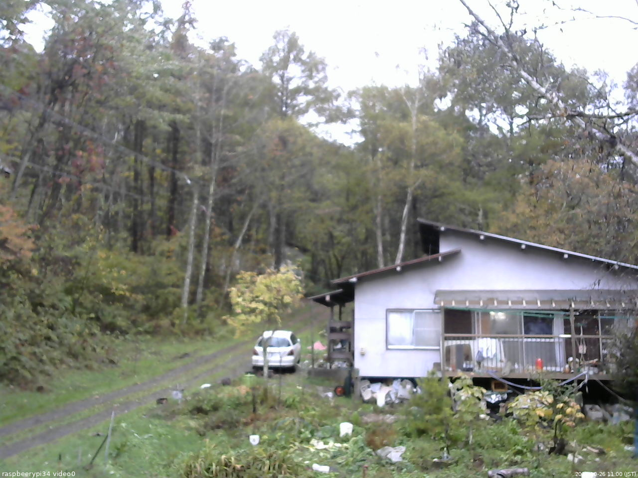 長野県菅平高原 ゆたか山荘 西側(坂上) 2025/10/26 11:00