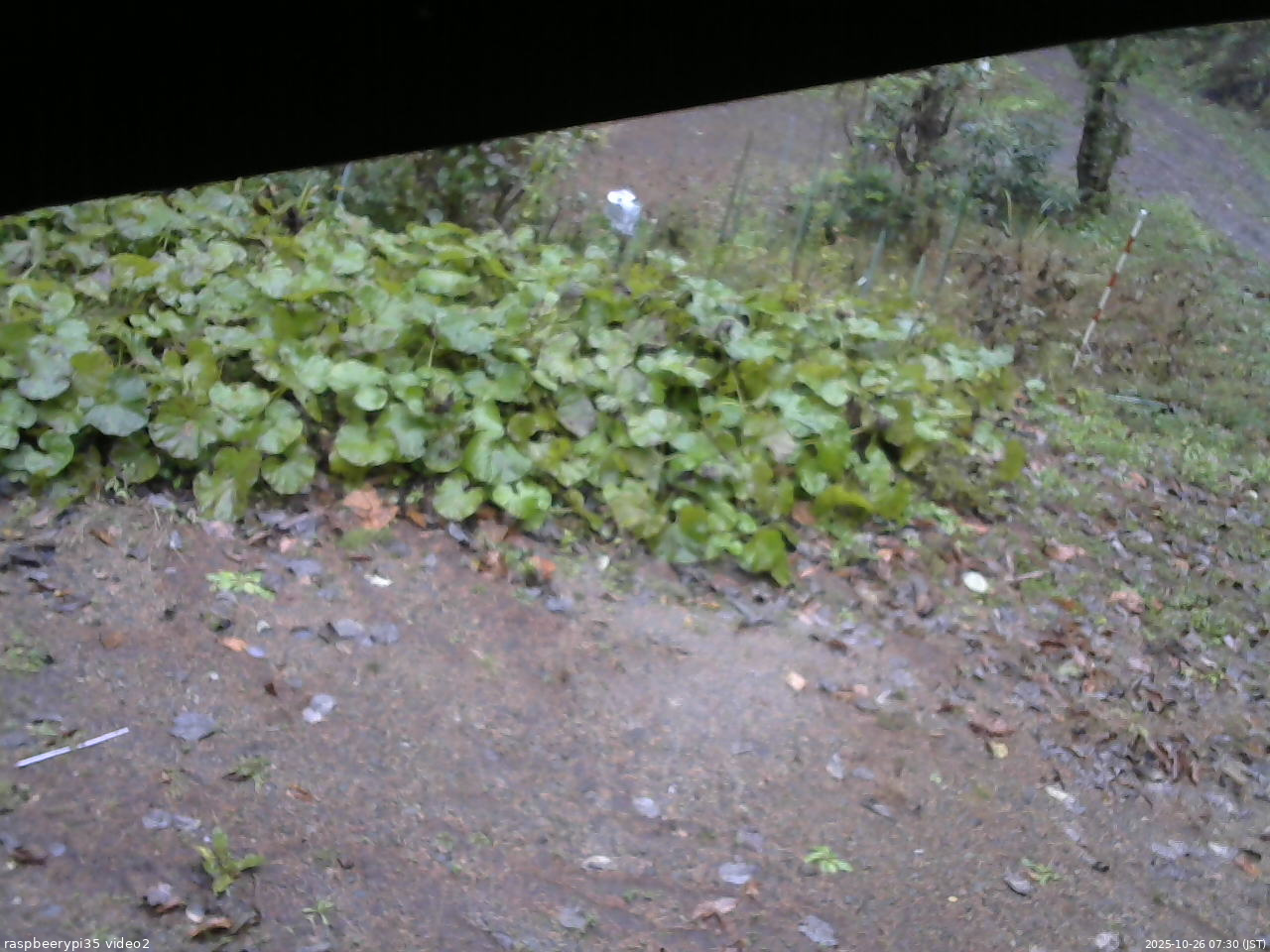 長野県菅平高原 ゆたか山荘 駐車場 2025/10/26 07:30