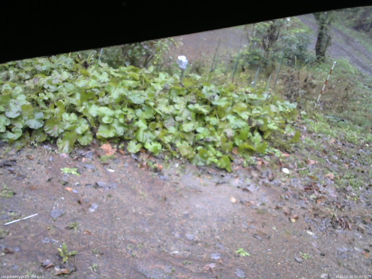 長野県菅平高原 ゆたか山荘 駐車場 2025/10/26 12:00