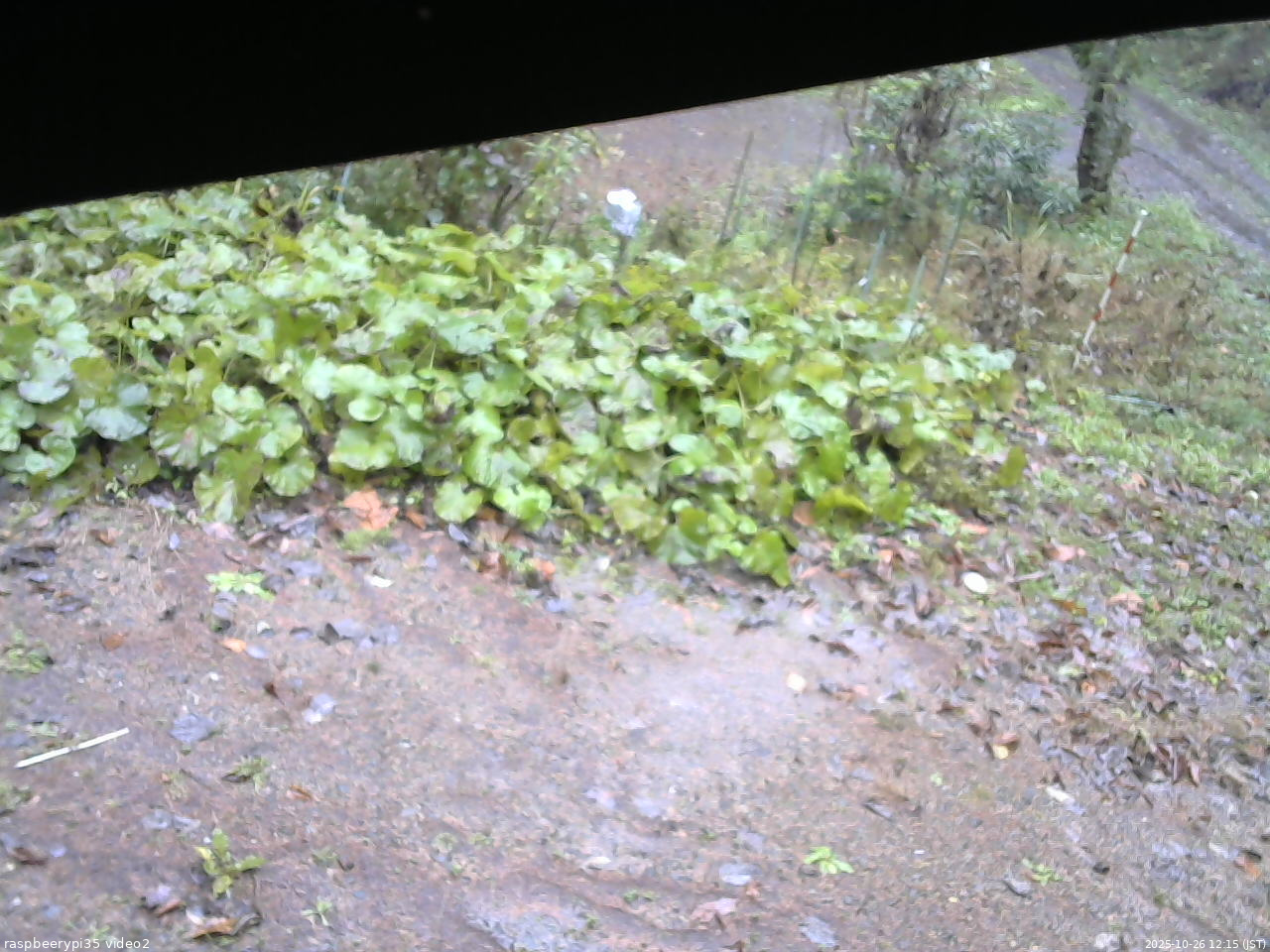 長野県菅平高原 ゆたか山荘 駐車場 2025/10/26 12:15