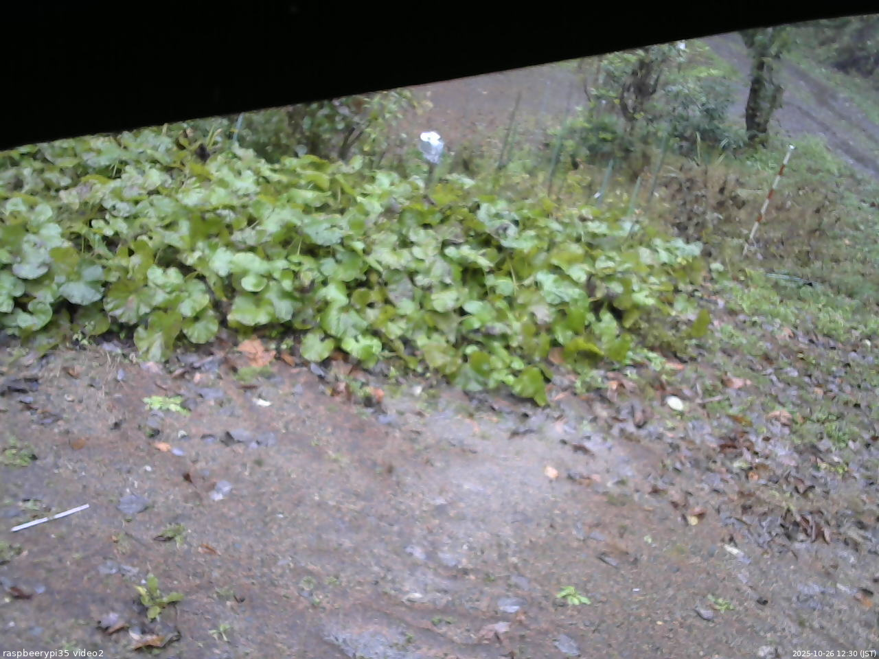 長野県菅平高原 ゆたか山荘 駐車場 2025/10/26 12:30