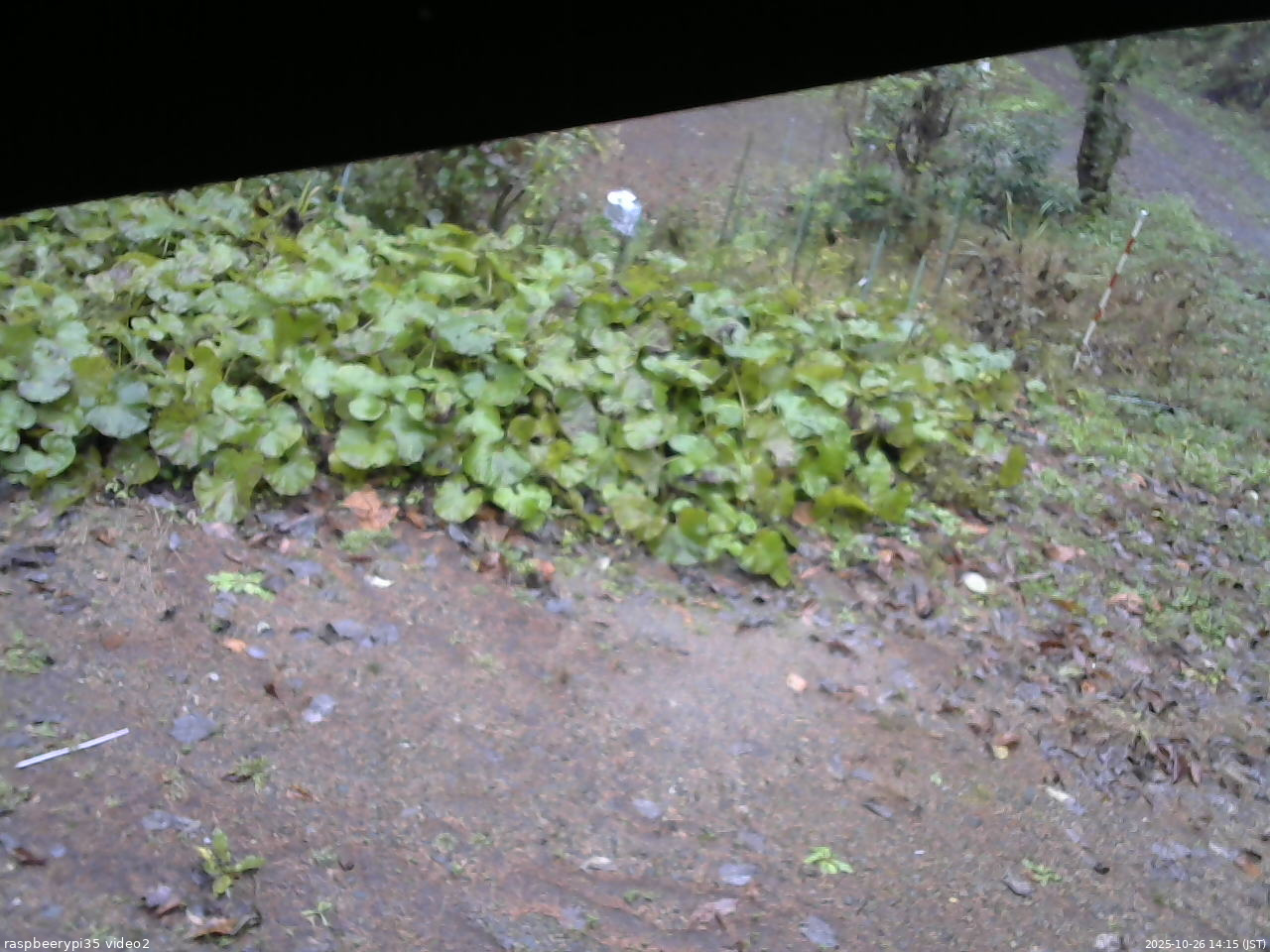 長野県菅平高原 ゆたか山荘 駐車場 2025/10/26 14:15