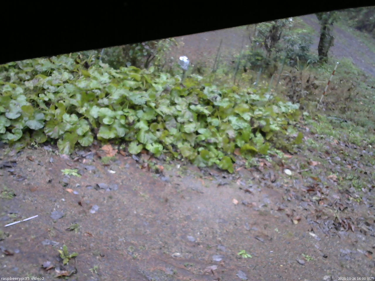 長野県菅平高原 ゆたか山荘 駐車場 2025/10/26 16:00