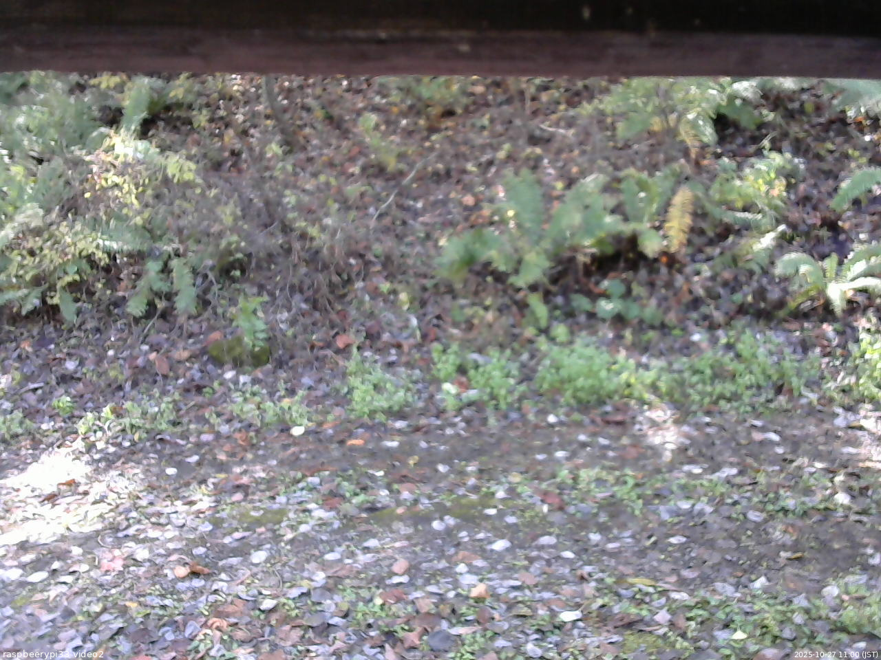 長野県菅平高原 ゆたか山荘 南側 2025/10/27 11:00