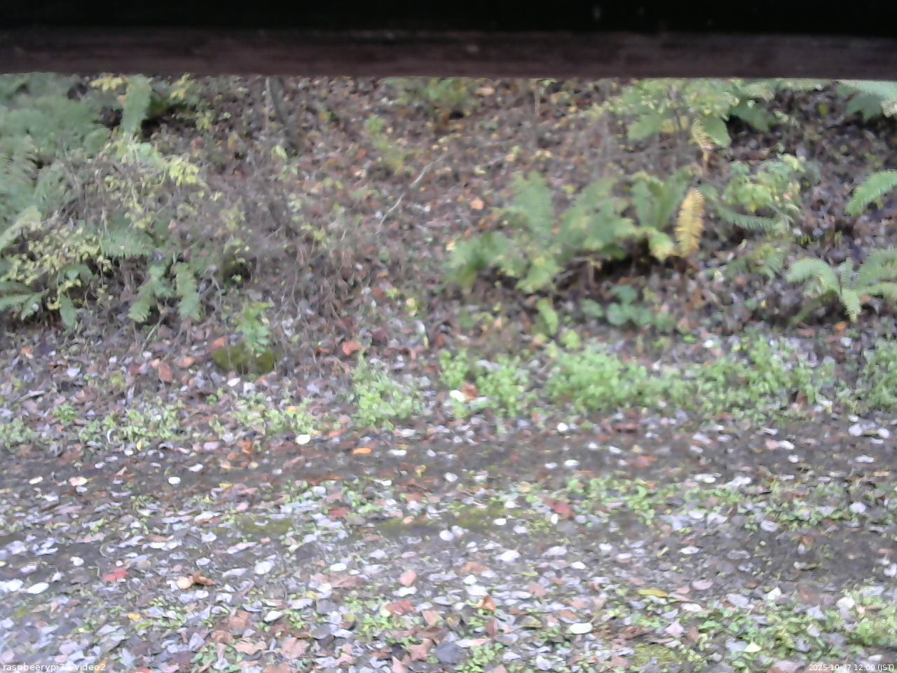 長野県菅平高原 ゆたか山荘 南側 2025/10/27 12:00