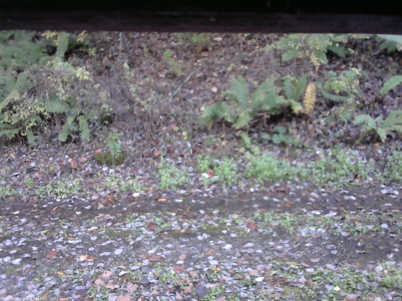 長野県菅平高原 ゆたか山荘 南側 2025/10/27 14:45