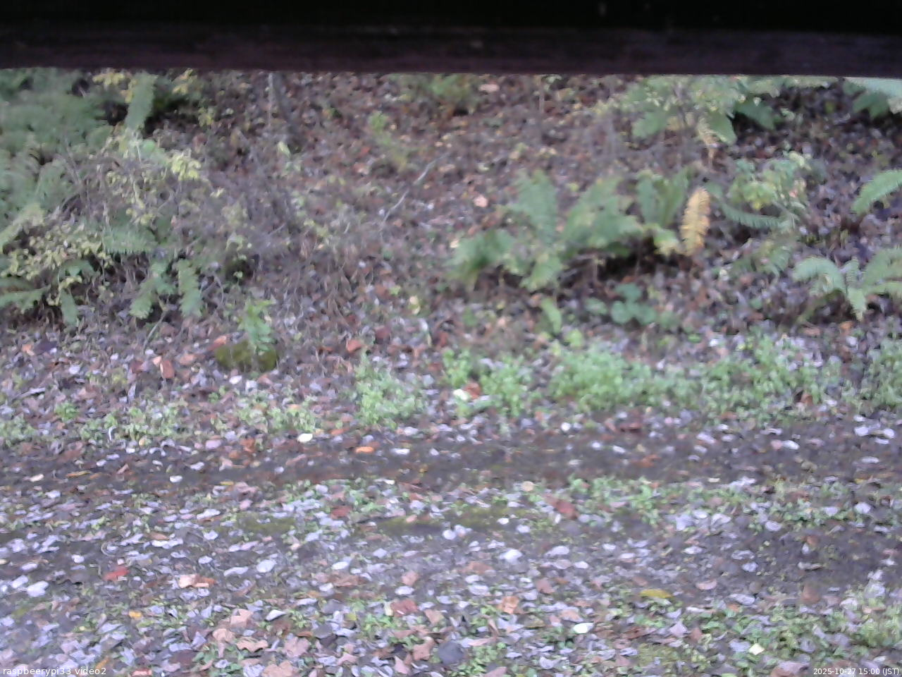 長野県菅平高原 ゆたか山荘 南側 2025/10/27 15:00