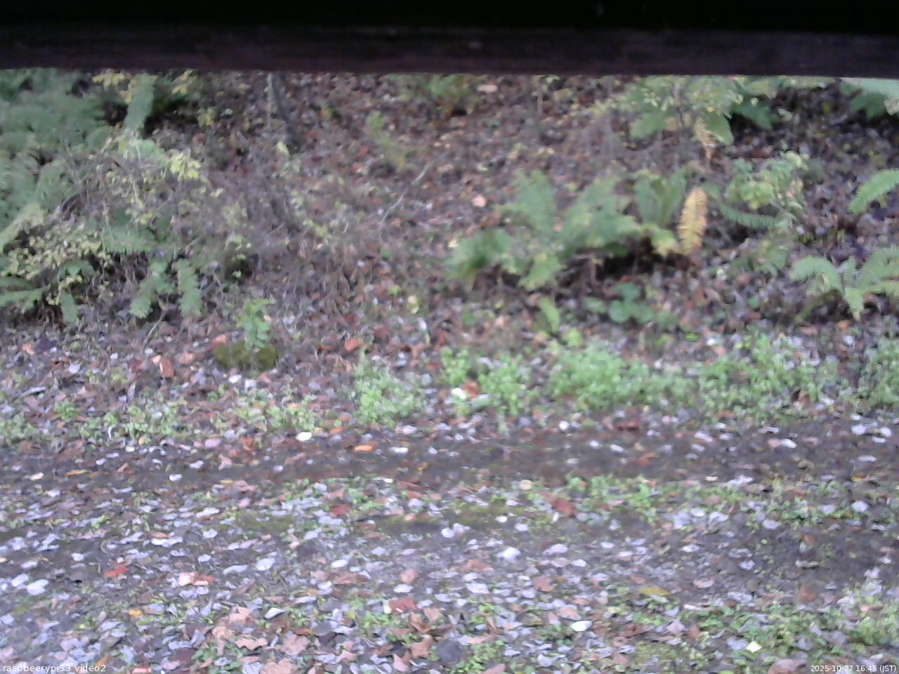 長野県菅平高原 ゆたか山荘 南側 2025/10/27 16:45