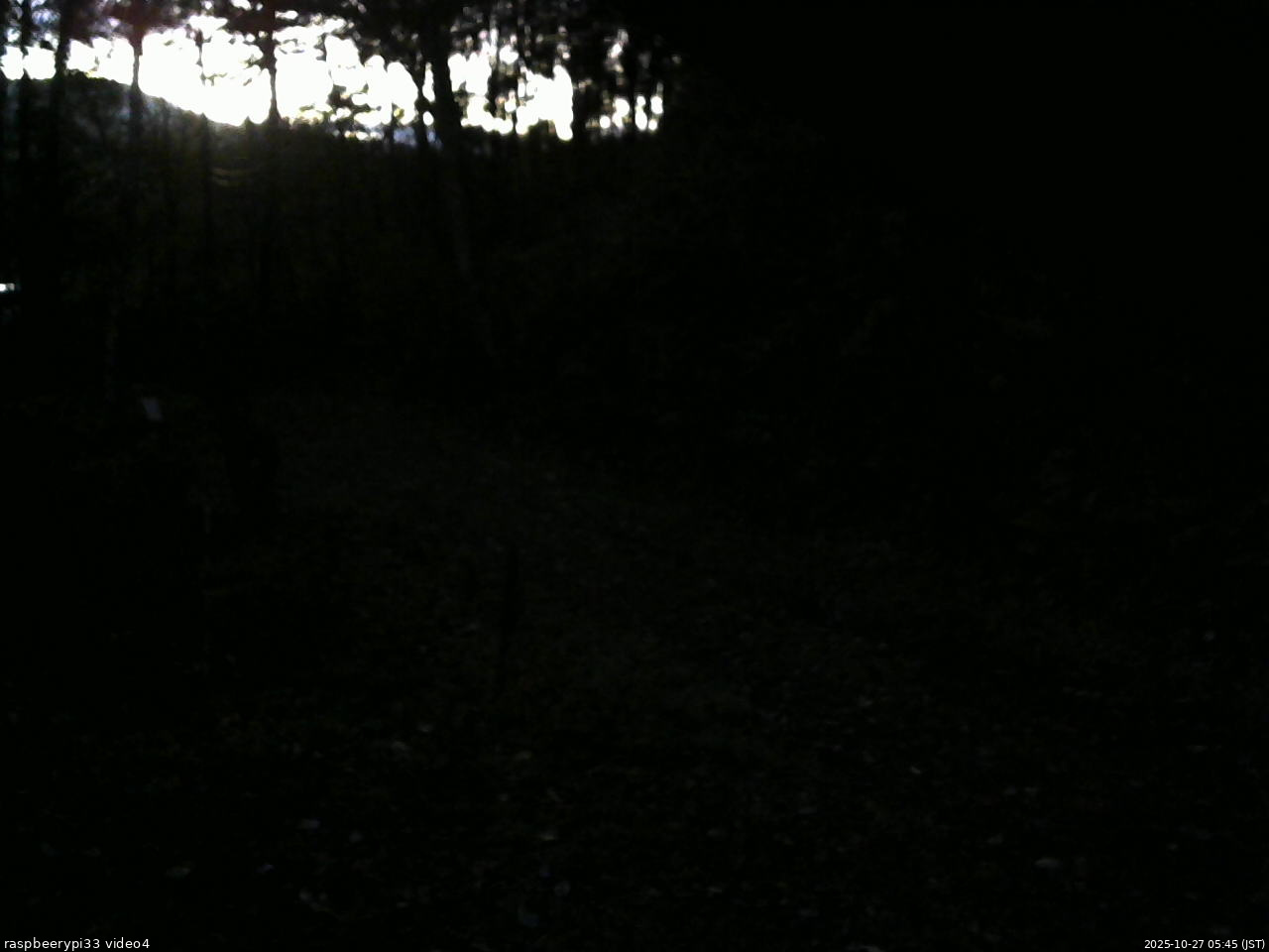長野県菅平高原 ゆたか山荘 東側(坂下) 2025/10/27 05:45