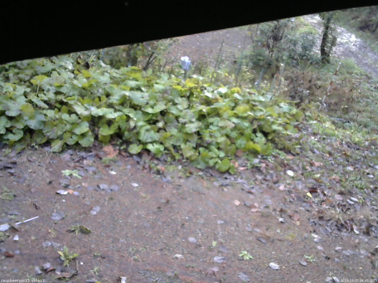 長野県菅平高原 ゆたか山荘 駐車場 2025/10/27 06:45