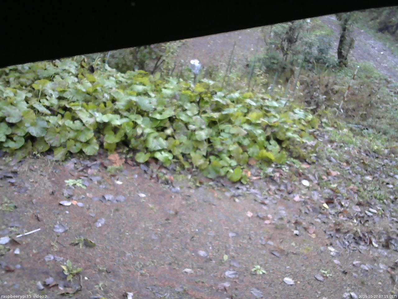 長野県菅平高原 ゆたか山荘 駐車場 2025/10/27 07:15