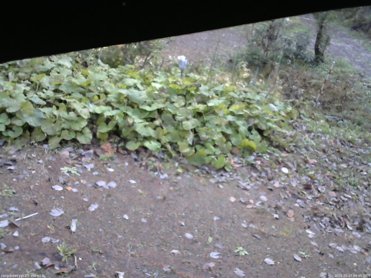 長野県菅平高原 ゆたか山荘 駐車場 2025/10/27 09:45