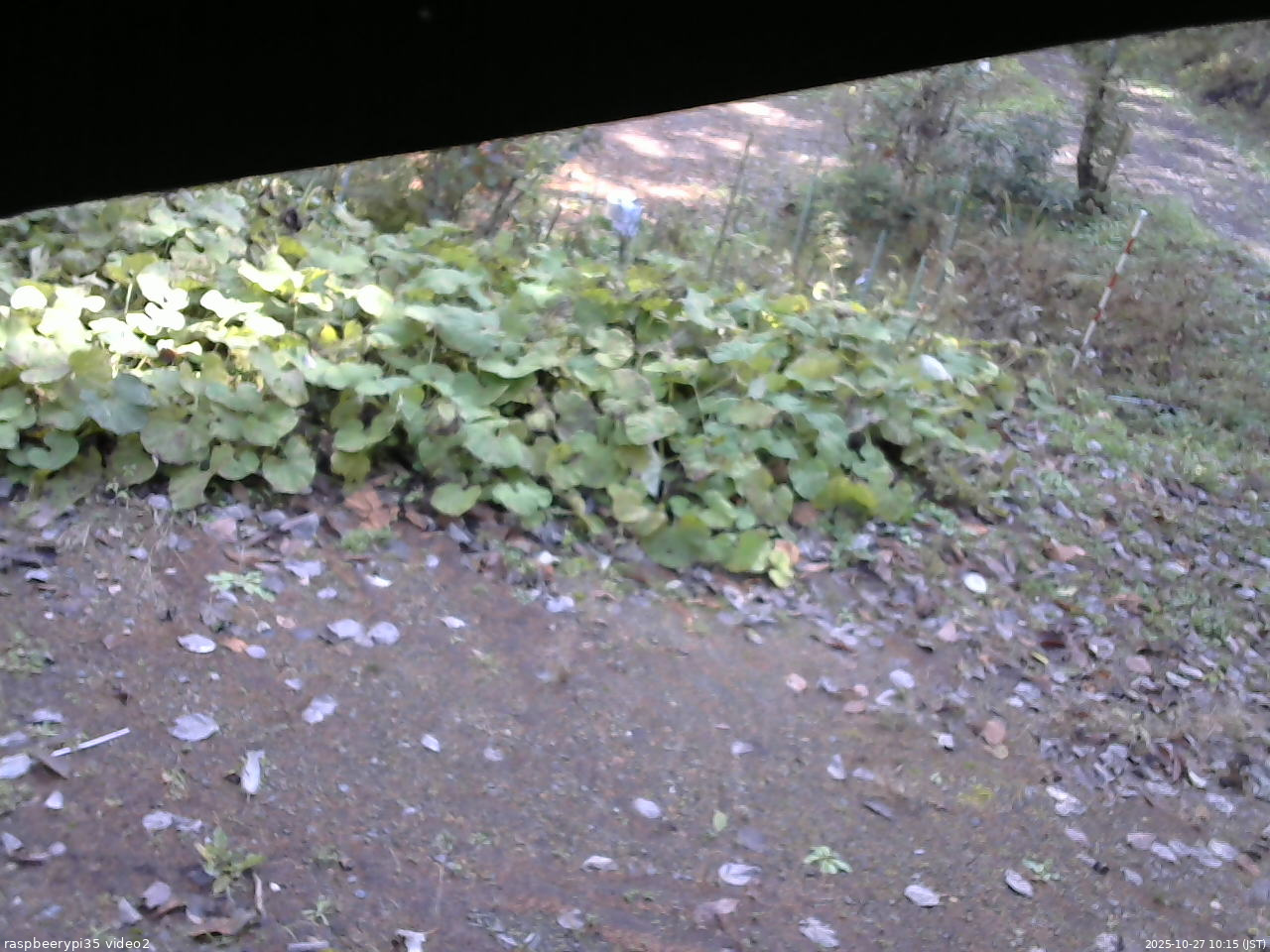 長野県菅平高原 ゆたか山荘 駐車場 2025/10/27 10:15